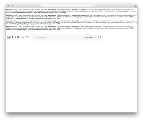 WordPress theme Digi Theme - labhane.com