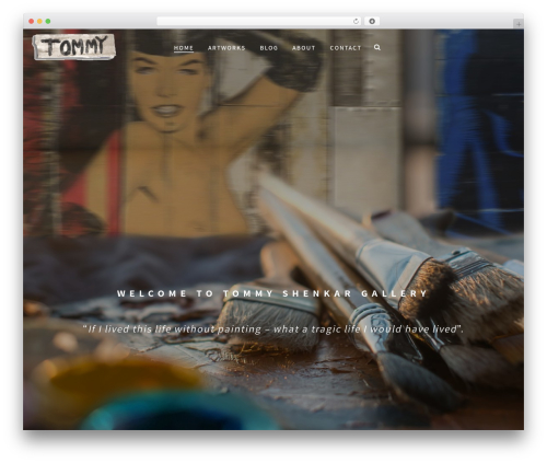 Plugin WordPress plugin - tommy-shenkar.com