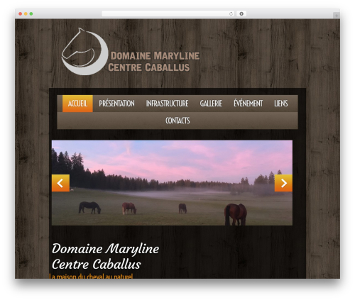 cherry WordPress theme - centre-caballus.ch