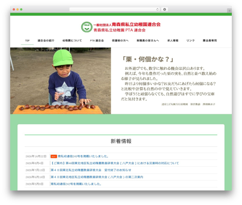 Lightning skin charm WordPress plugin - aoshiyo.jp