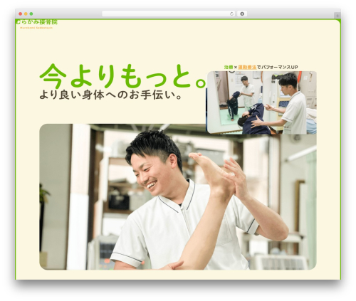 WP theme 村上接骨院 - murakami-sekkotu.com
