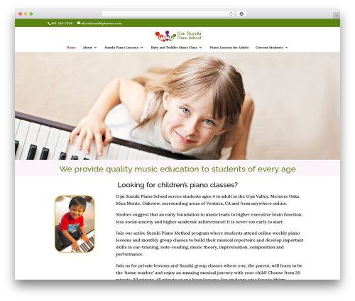 Faq responsive WordPress plugin - suzukipianosc.com