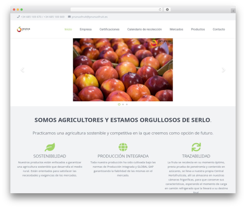 Post Timeline (post-timeline) free WordPress plugin - prunusfruit.es/es/inicio
