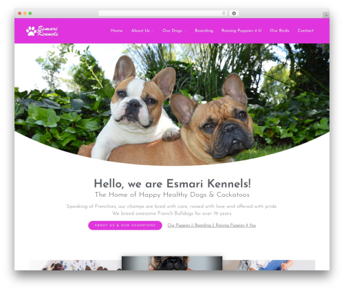 Layers for Elementor theme WordPress - esmari.co.za