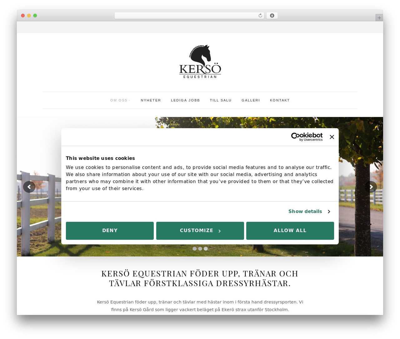 WordPress theme Simple & Elegant - kersoequestrian.com