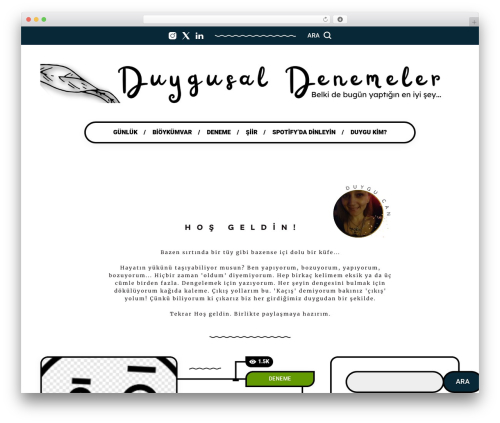 WordPress theme Spide - duygucan.com