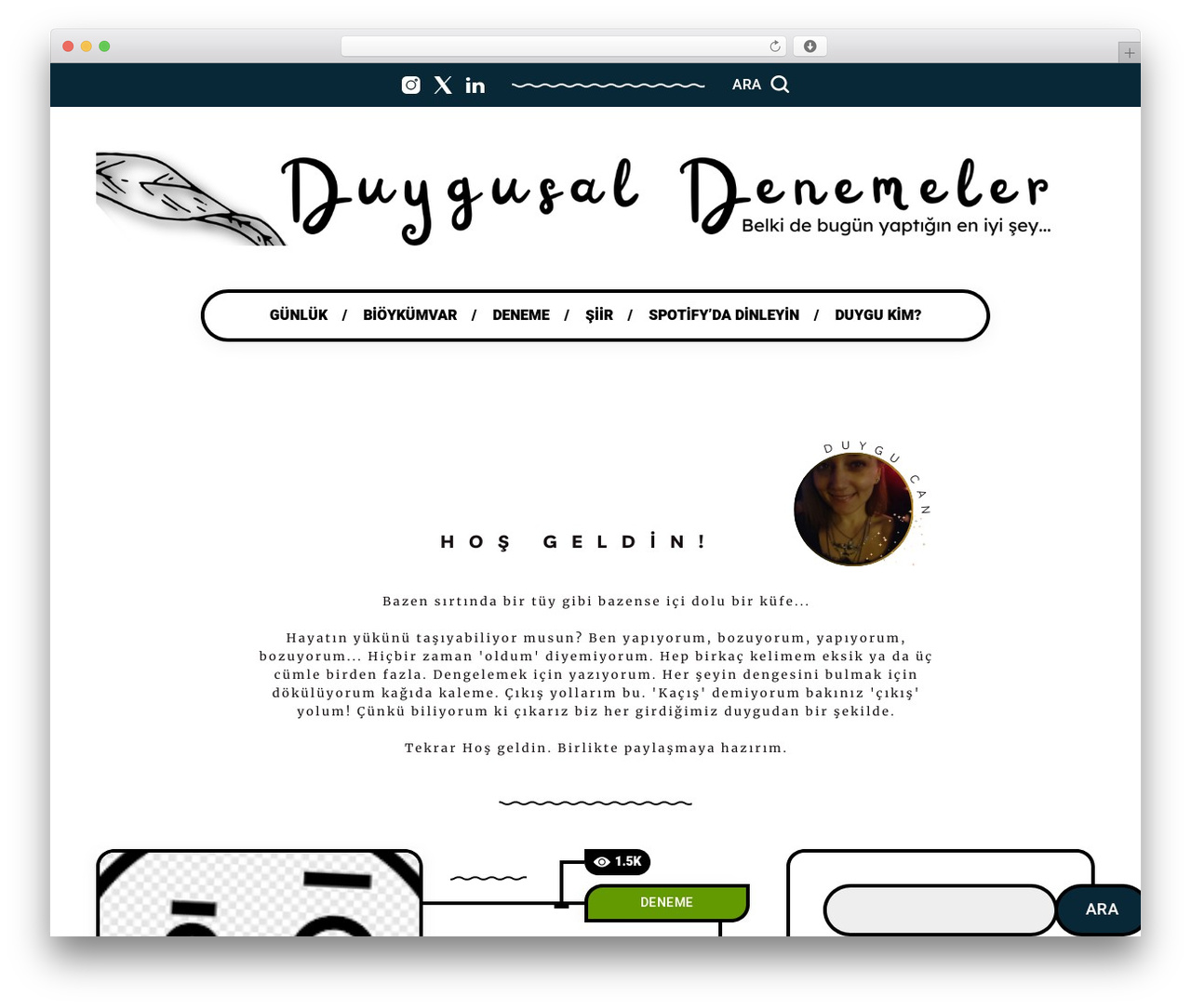 WordPress theme Spide - duygucan.com