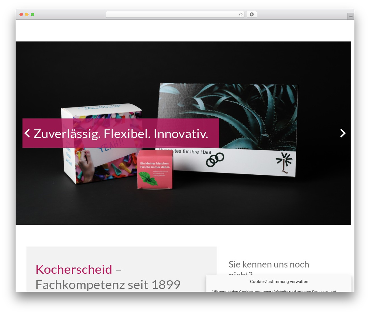 Constructor WordPress theme - kocherscheid.de