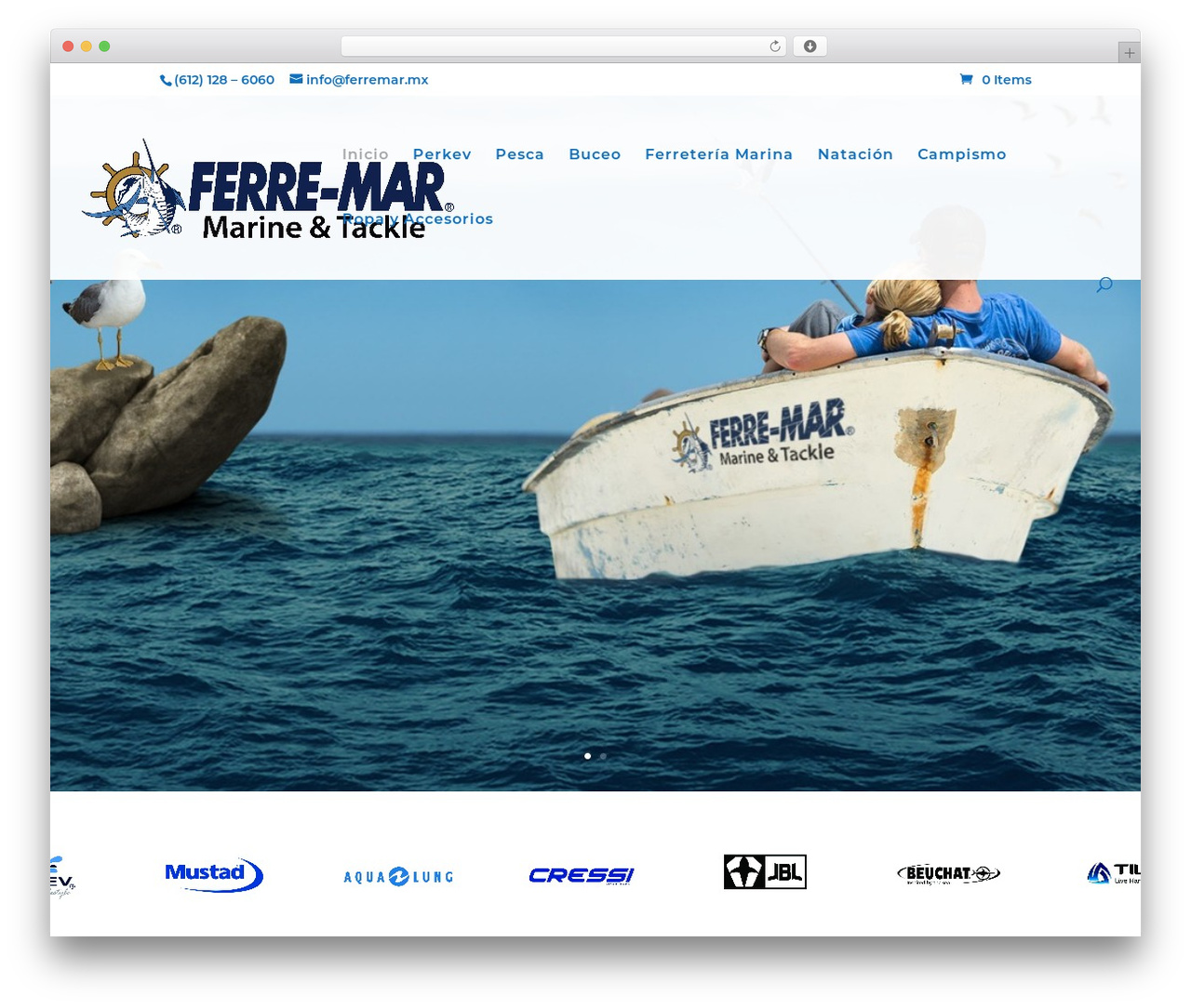 Theme WordPress Divi - ferremar.online Theme WordPress Divi - ferremar.online