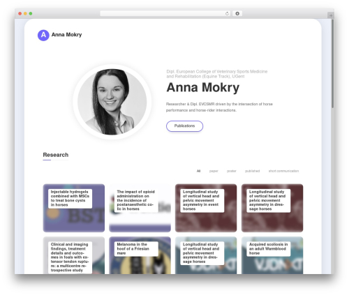 Leven shortcodes WordPress plugin - amokry.ch