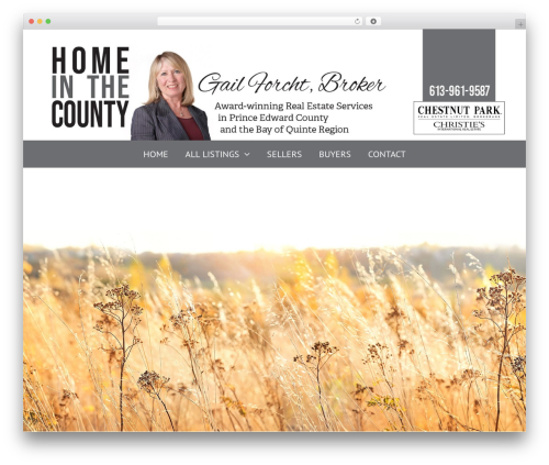 Realtypress premium WordPress plugin - gailforcht.com