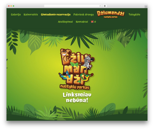 WordPress theme Divi - dziumandzi.lt