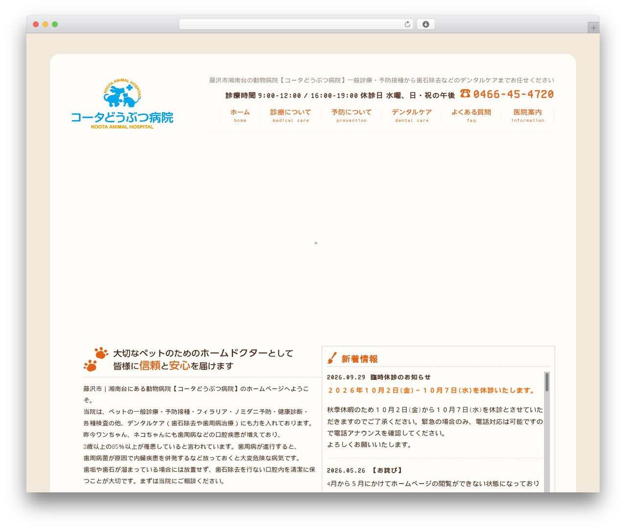 WordPress theme Themify Basic - koota-vet.com