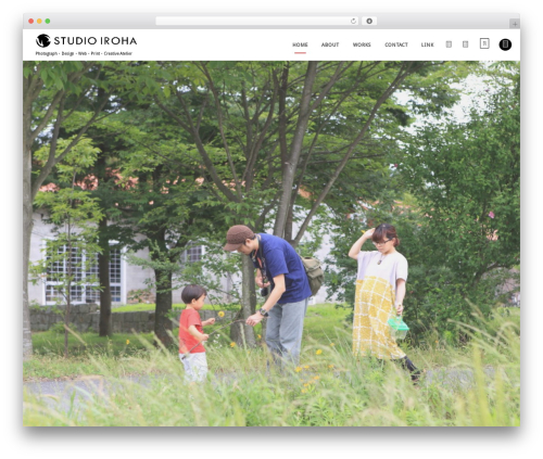 Dp ex blocks free WordPress plugin - s-iroha.com