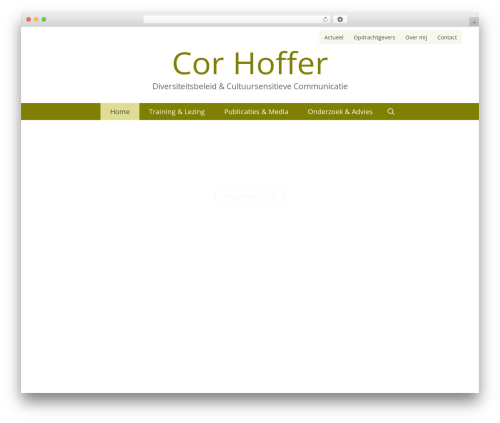 WPBruiser {no- Captcha anti-Spam} (goodbye-captcha) free WordPress plugin - corhoffer.nl