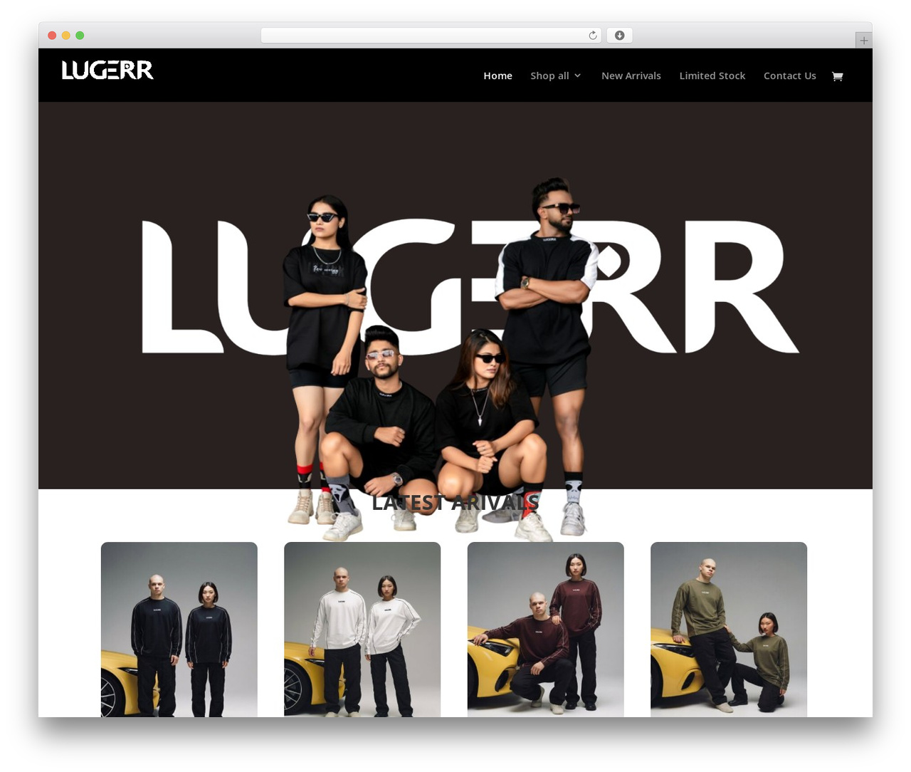 WordPress theme Divi - lugerr.com WordPress theme Divi - lugerr.com