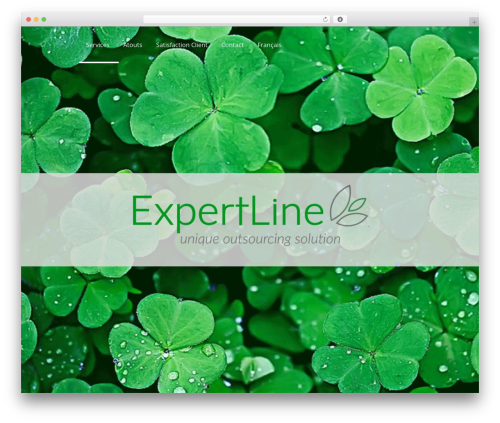 Appdev WordPress theme - expertline.ch