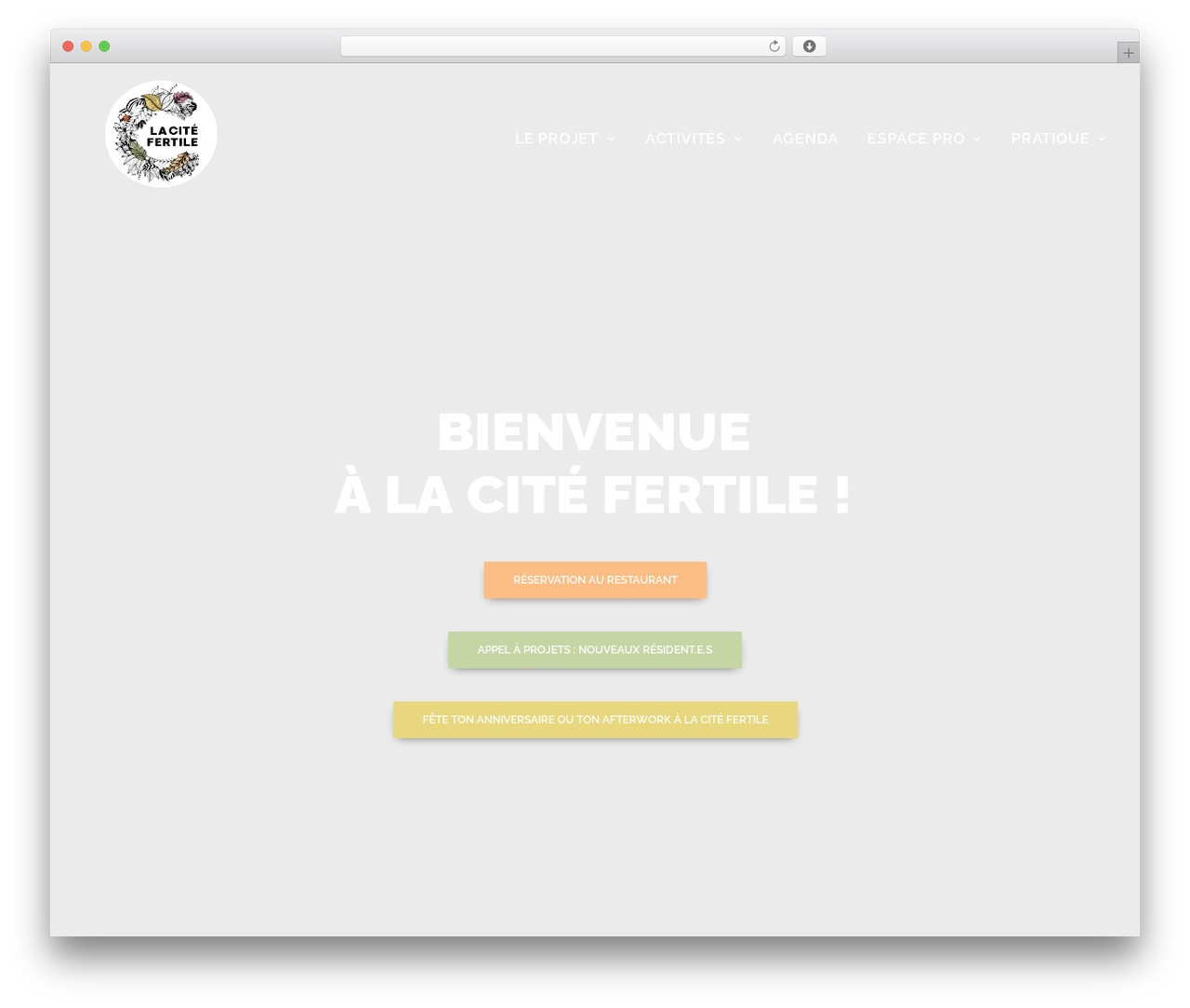 Uncode premium WordPress theme - citefertile.com