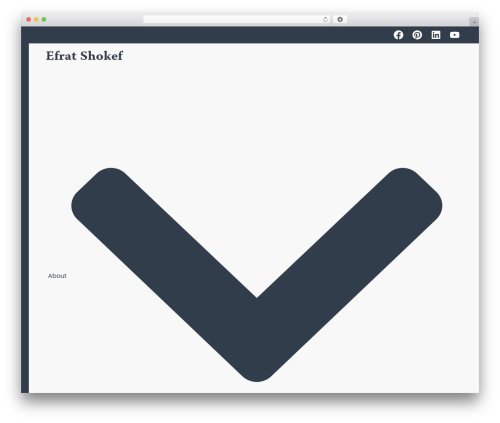 Teachable WordPress plugin - efratshokef.com