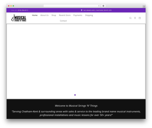 WordPress theme StringsNThings - musicalstringsnthings.com