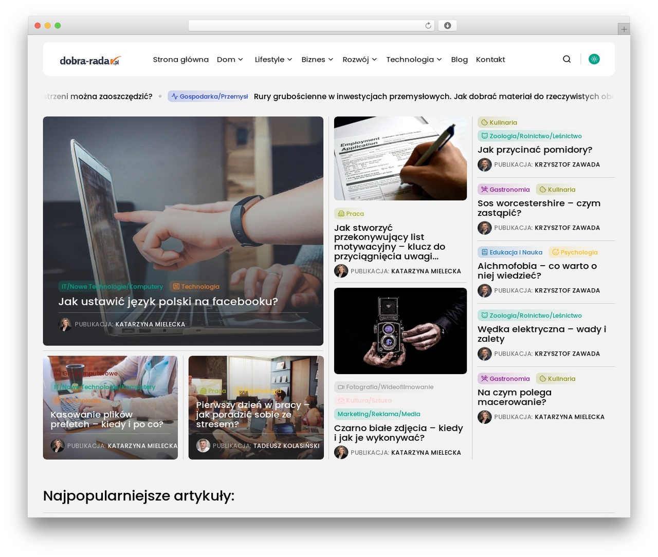 Fabula theme WordPress - dobra-rada.pl