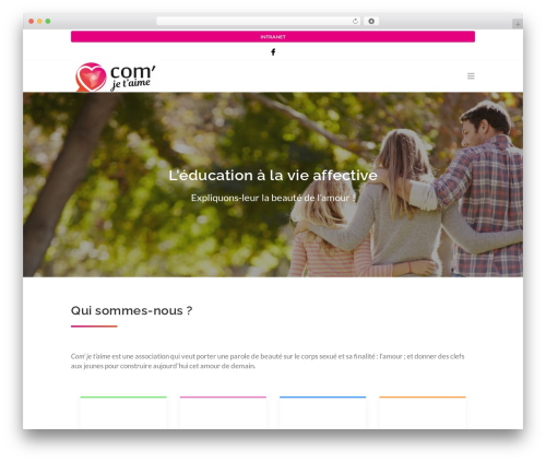 Ninzio addons WordPress plugin - comjetaime.com