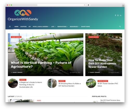 The Next Mag WordPress theme - organizewithsandy.com