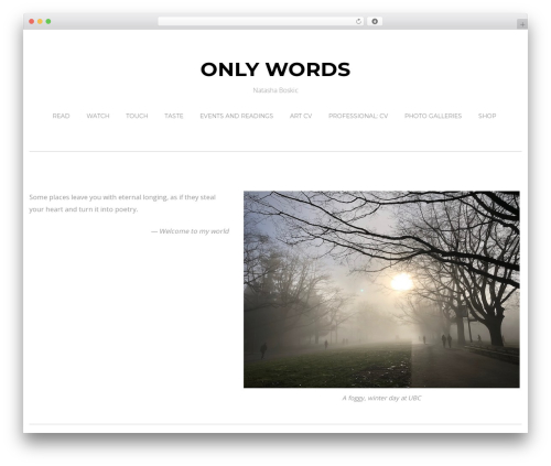 Video Gallery & Management for YouTube Videos and WordPress (youtube-showcase) free WordPress plugin - onlywords.ca