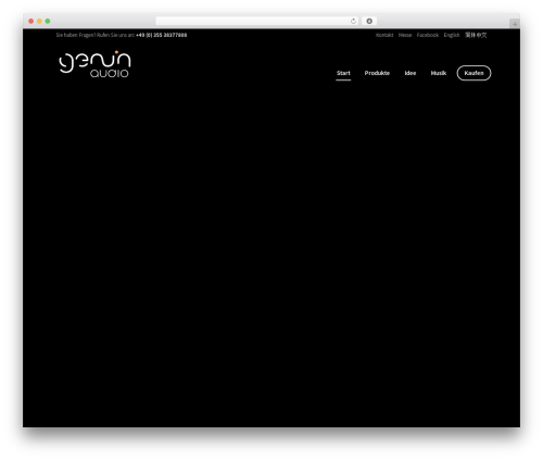 Best WordPress theme genuin - genuin-audio.de