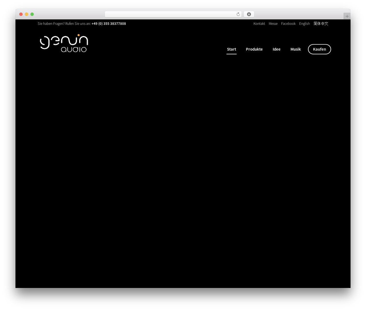 Best WordPress theme Genuin - genuin-audio.de