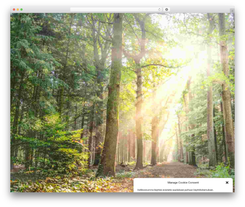 Elementor Hello Theme WordPress theme design - otocur.fi