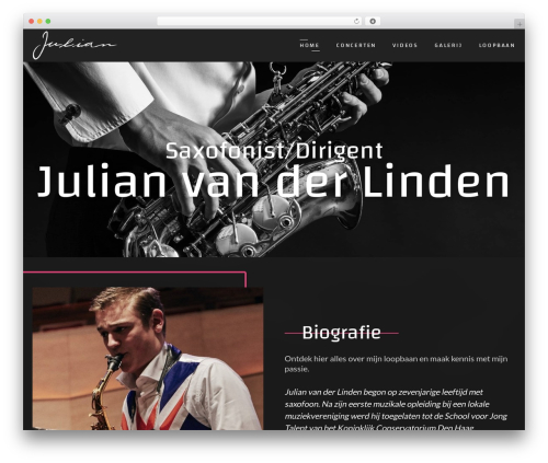 Mwt addons WordPress plugin - julianvanderlinden.nl