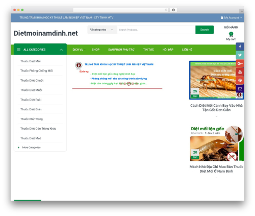 Complex WordPress theme - dietmoinamdinh.net