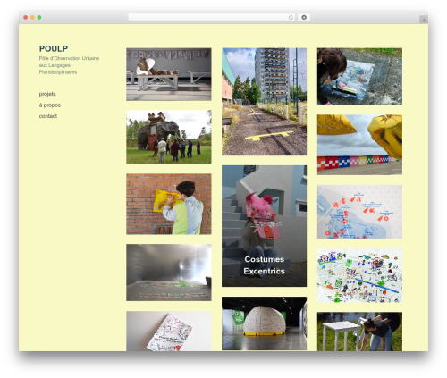 Optics WordPress theme - poulp.studio