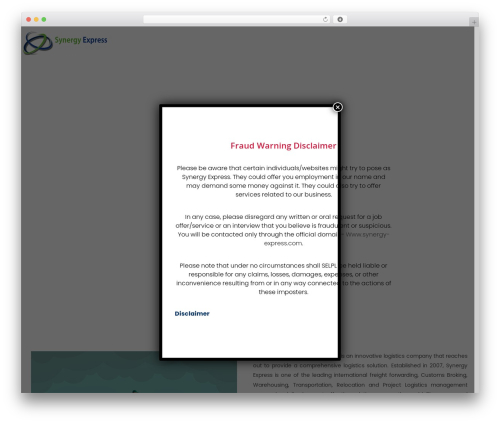 Site theme WordPress - synergy-express.com