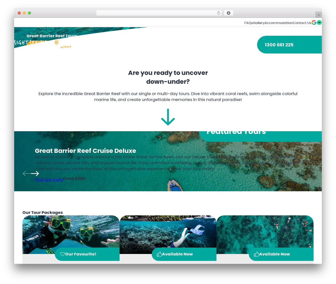 SSTA Theme WordPress theme - greatbarrierreeftourscairns.com.au