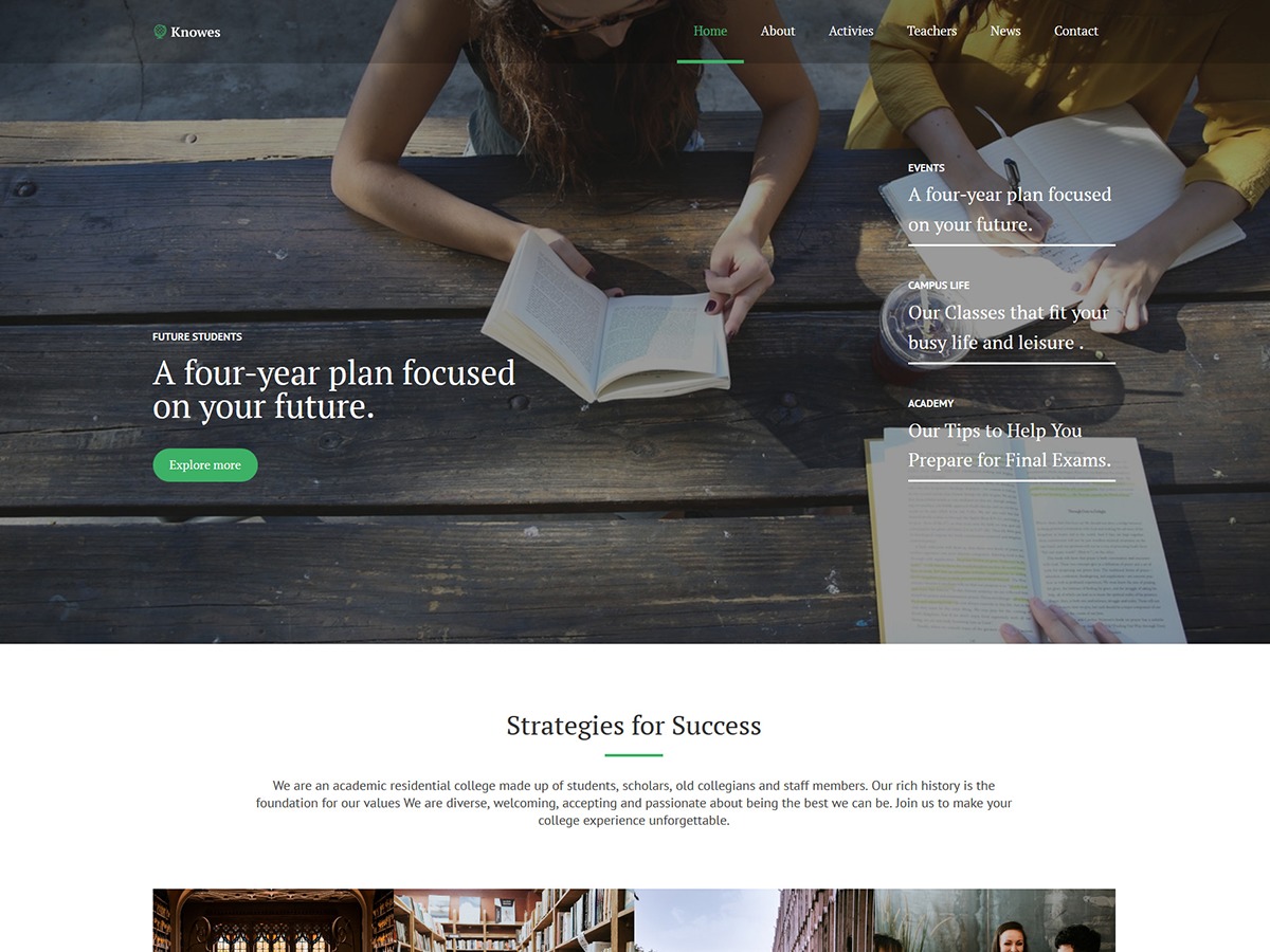 Knowes WordPress theme by RockThemes