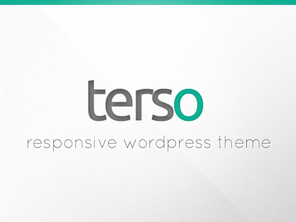 Terso best WordPress theme