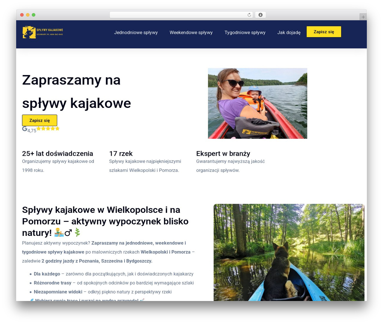 WordPress theme Hello Elementor - szuwary.pl