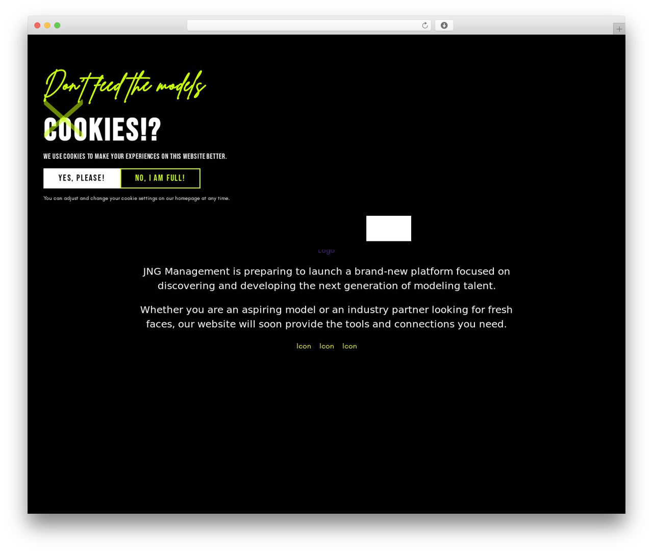 WordPress theme MODELS - jng-management.com