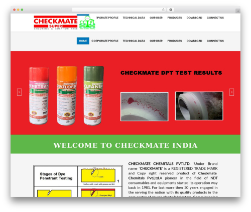 WordPress theme ServiceMaster - checkmate4dpt.com