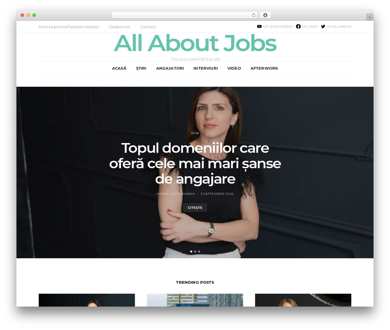 WP theme Authentic - allaboutjobs.ro