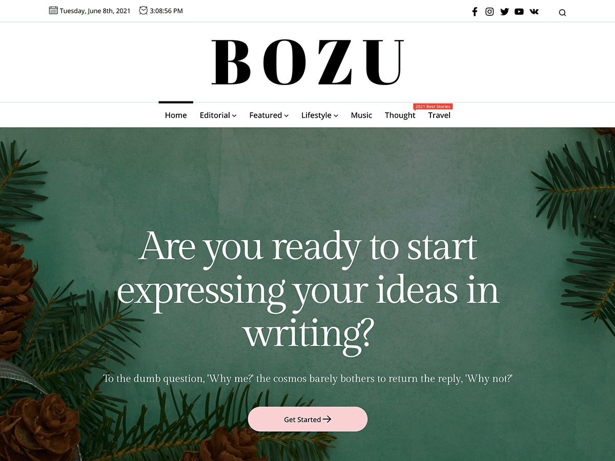 Bozu WordPress template for business
