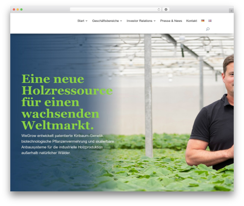 Double opt in WordPress plugin - wegrow.de