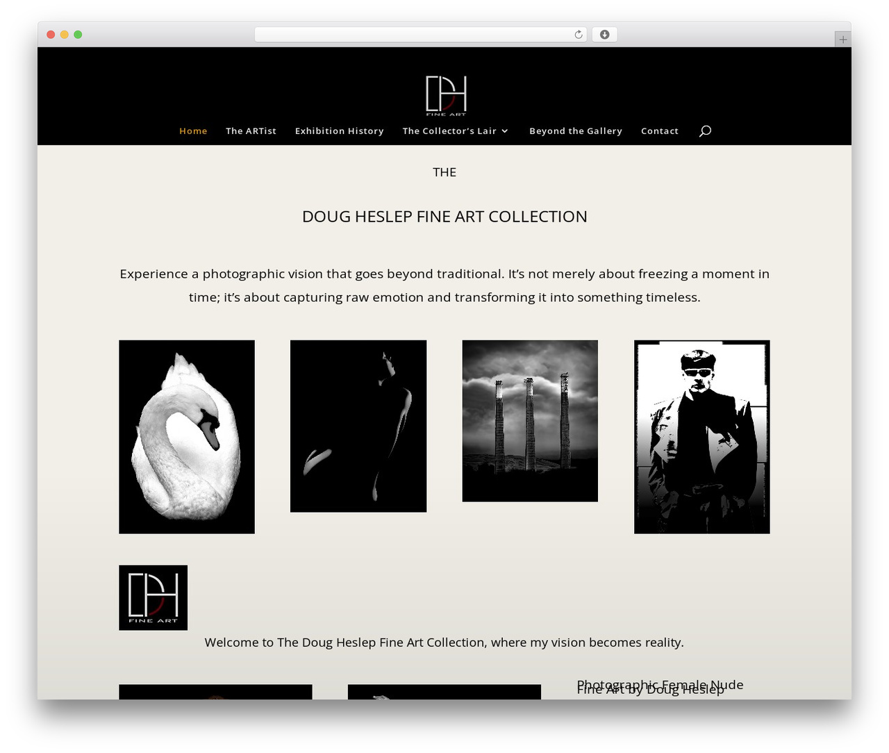 Divi WordPress theme - dougheslepfineart.com