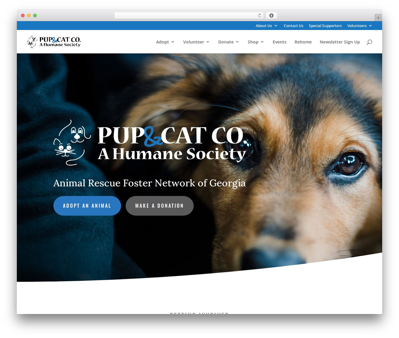 Divi WordPress theme - pupandcatco.com Divi WordPress theme - pupandcatco.com