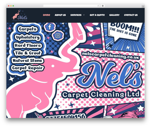 Cf7 submissions WordPress plugin - nelscarpetcleaning.co.uk