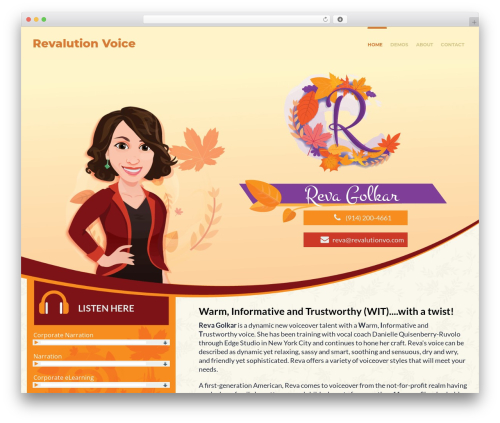 Simple stats WordPress plugin - revalutionvo.com