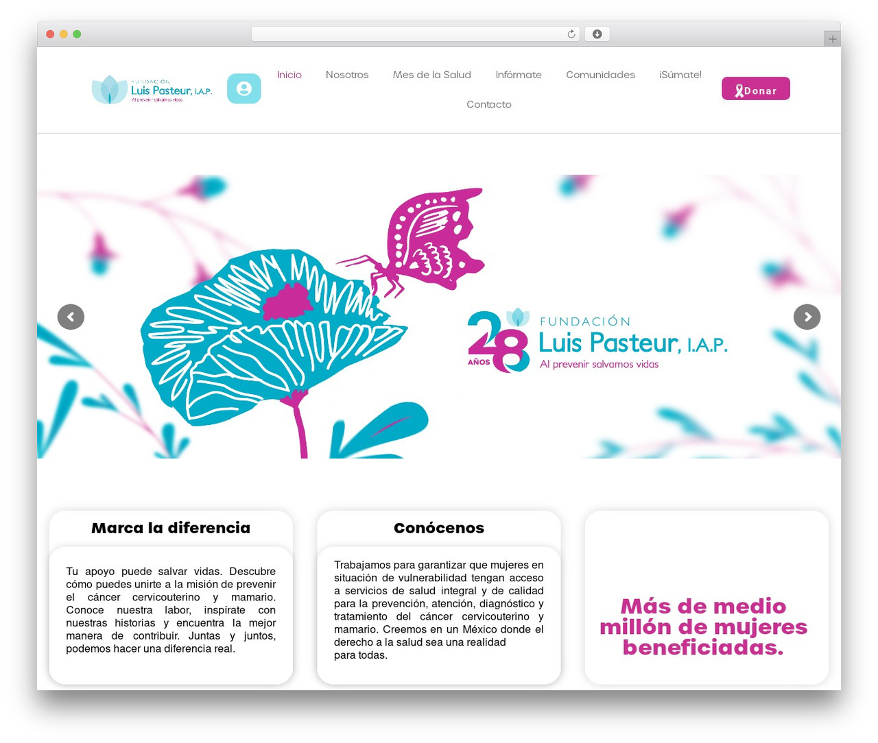 Hello Elementor theme WordPress - fundacionpasteur.org Hello Elementor theme WordPress - fundacionpasteur.org