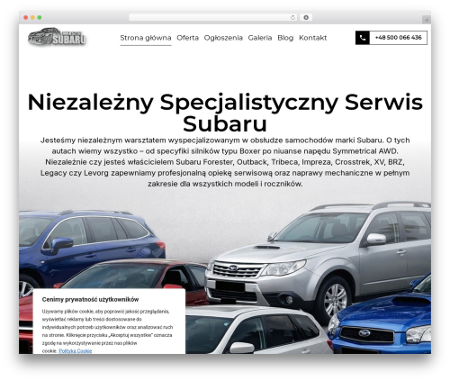WordPress Meta Data and Taxonomies Filter (MDTF) (wp-meta-data-filter-and-taxonomy-filter) free WordPress plugin - warsztatsubaru.pl WordPress Meta Data and Taxonomies Filter (MDTF) (wp-meta-data-filter-and-taxonomy-filter) free WordPress plugin - warsztatsubaru.pl
